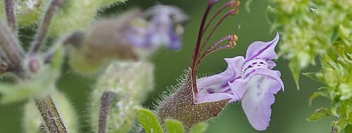 [Translate to English:] sdf