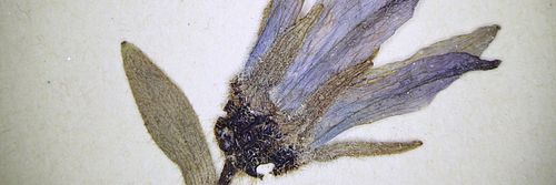 [Translate to English:] aswef