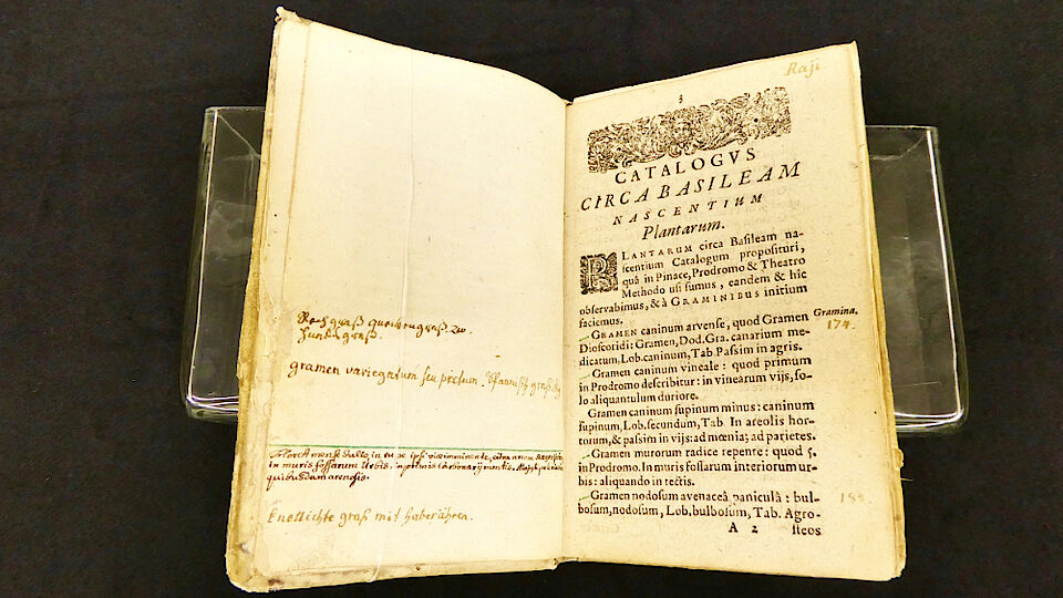 Catalogus circa Basileam