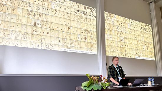 Bauhin 2022 Symposium photo